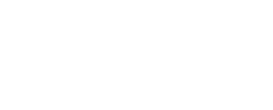 logo raven contabilidade